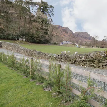 Semesterbostad Oak Tree *